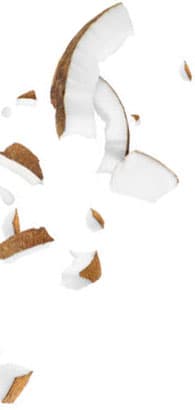 Pedaços de coco fresco e respingos de leite